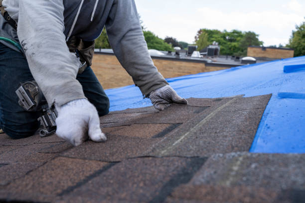 Roof Installation Near Me in Nolensville, TN